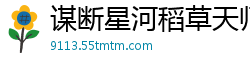 谋断星河稻草天师